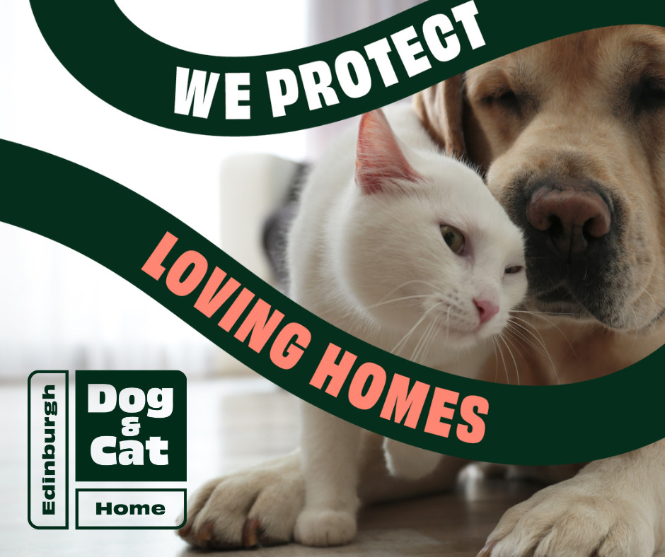 News Edinburgh Dog & Cat Home