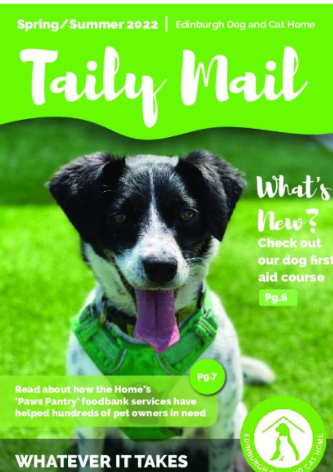 Taily Mail Edinburgh Dog & Cat Home