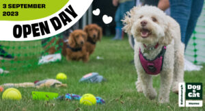 Image of white poodle surrounded by dog toys. Text reads: Open Day 3 September 2023