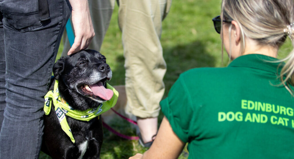 open-day-2023-thank-you-edinburgh-dog-cat-home