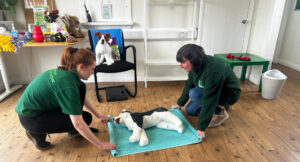 Carla and Rachael demonstrating on a dummy dog at Dog First Aid Training