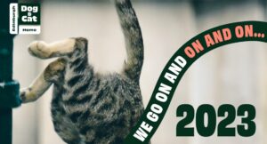 image of cat's hind paws hopping down off camera, a banner runs across the right hand side saying 'we go on and on and on' and graphic text says 2023 in the bottom right corner