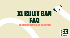 Graphic saying: XL Bully Ban FAQ, Edinburgh Dog and Cat Home