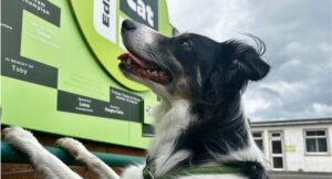 Marcus the collie looking up at our Sponsor Wall outside the Edinburgh Dog and Cat Home offices