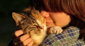 close up of cat cuddling into a persons shoulder with their eyes closed