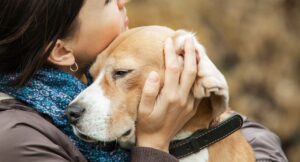 dog cuddling into a person's shoulder with their eyes closed