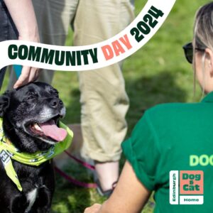 Community day 2024 banner above an image of a black lab wearing a edinburgh dog and cat home bandana and looking at a member of staff who is kneeling in front of them.