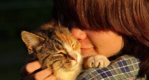 close up of cat cuddling into a persons shoulder with their eyes closed