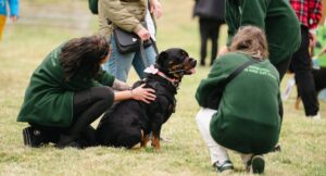 Rottweiler dog sitting with members of EDCH staff cuddling him at Community Day