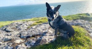 Hamish sitting on a cliff by the sea