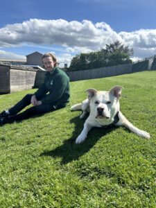 Finn, a 5 years old male Akita available for adoption from Edinburgh Dog and Cat Home in Scotland