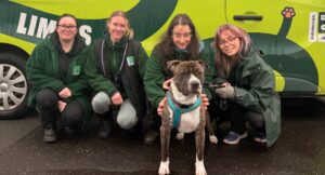 Members of the Edinburgh Dog and Cat Home animal welfare team posing in front of the branded van with a dog