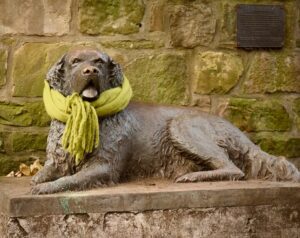 Bum the dog statue wearing a green scarf