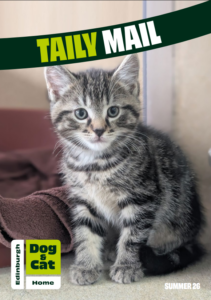 Taily Mail front cover, small grey kitten with Edinburgh Dog and Cat Home logo in bottom corner