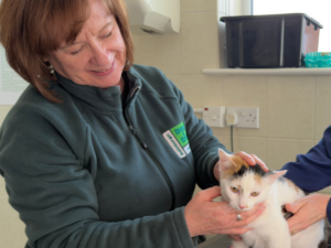 Wendy cuddling a cat on the vet table
